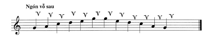 ngon-vo-sau