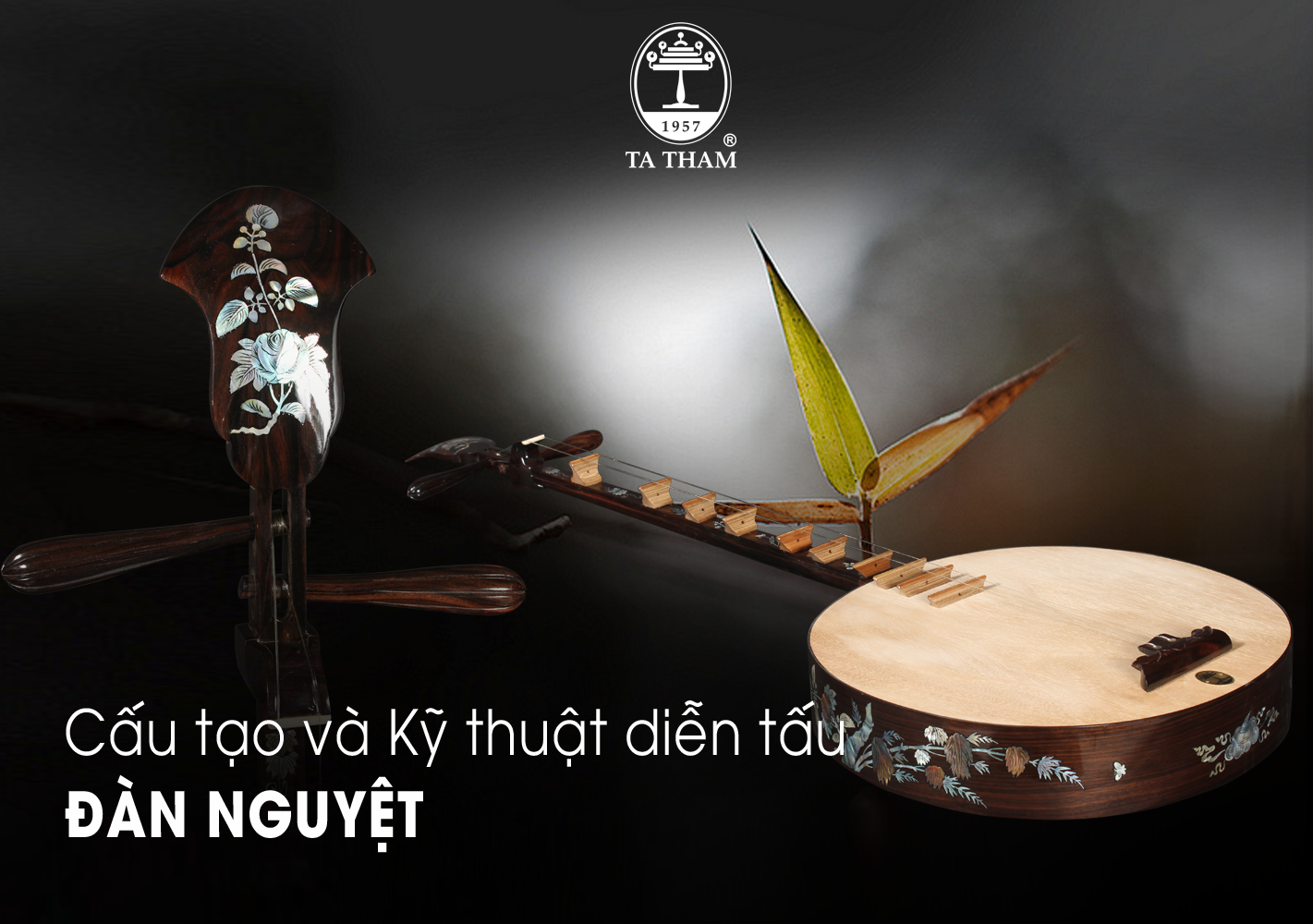 Tổng quan về đàn nguyệt