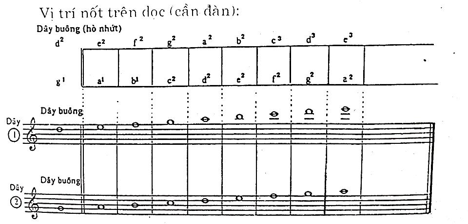 2703_d2 2703_d2