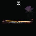 Đàn Bầu BGM4