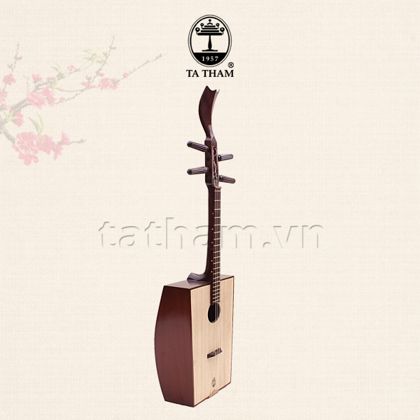 Đàn Tứ Thùng TTT1