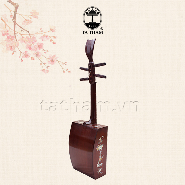 Đàn Tứ Thùng TTT2
