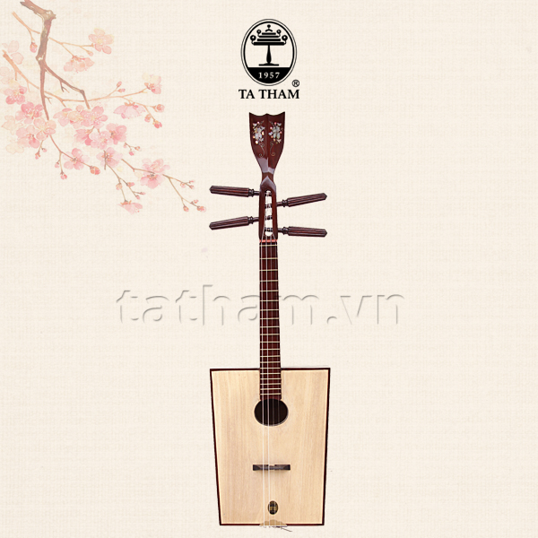 Đàn Tứ Thùng TTT2