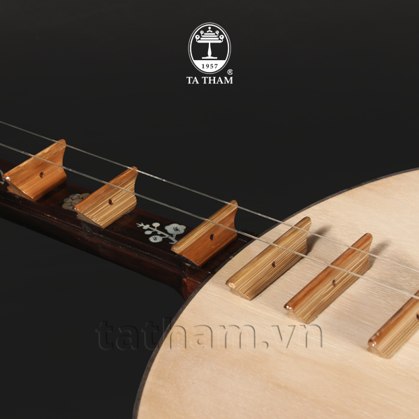 Đàn nguyệt NE2