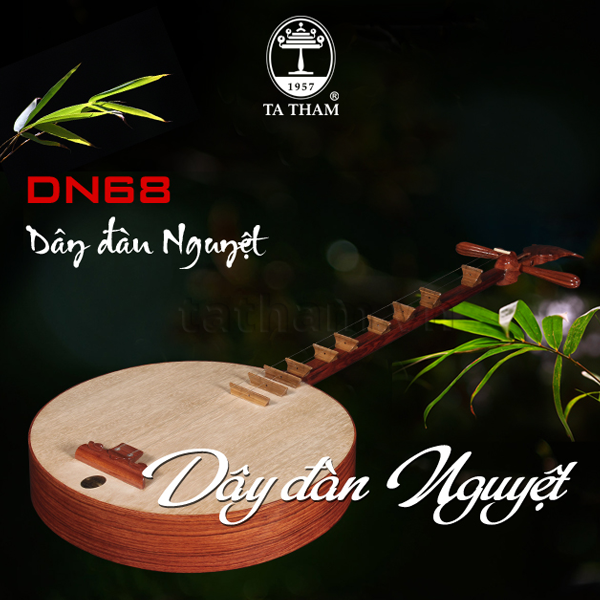Dây đàn Nguyệt 