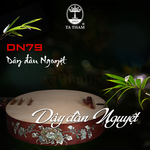 Dây đàn Nguyệt 