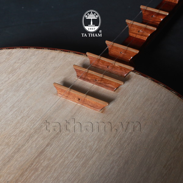 Đàn Nguyệt NB1S
